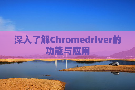 深入了解Chromedriver的功能与应用