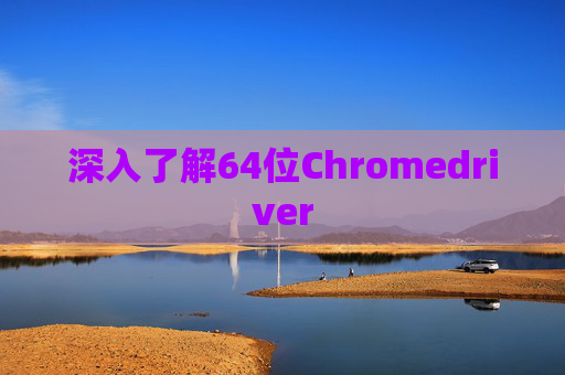 深入了解64位Chromedriver